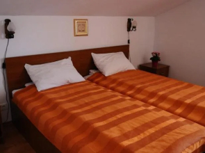 Vila Paltinis