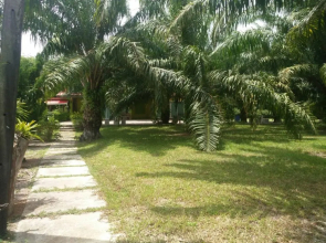 Baan Suan Nam Resort