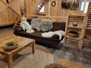 Cottage Happiness With Sauna and Natural Pool