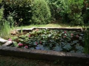 Le Mas des Roses
