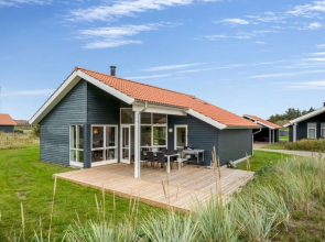 "Sylwia" - 900m from the sea in Western Jutland