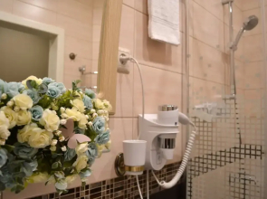 Townhouse Park & House