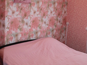 Автомобилист