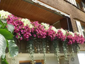 Ferienwohnung Kaufmann