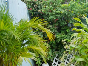 Villa Shalom Guest House