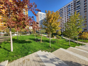 Максимум на улице Григорьева