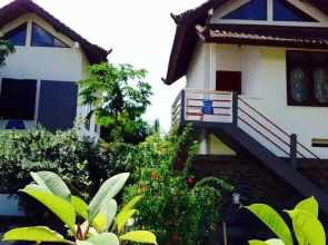 Lily Amed Beach Bungalows