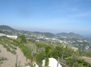 La Casa dell'Ulivo