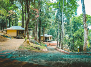 Vythiri Wild Forest Resort