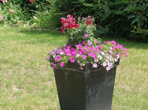 B&B Villa De Keyser