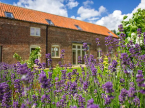Shakespeare Cottage