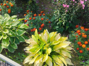 Уютный домик