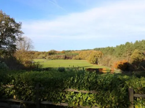 Long Meadow