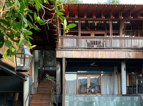 The Shorea
