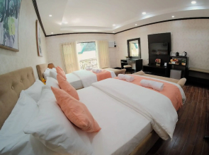 Luisita Central Park Hotel