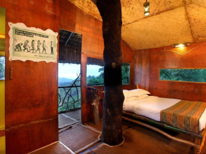 Vanya Tree House