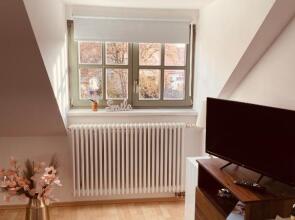 Apartment Altstadt Freiberg