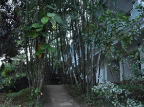 Vythiri Thadakam Resort