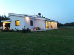 B&B Briosa