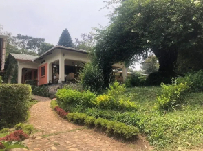 Ruwenzori View Guest House