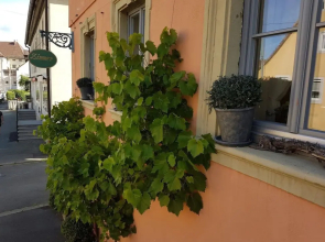 Gasthaus Krone