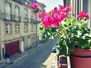 Cozy loft in downtown
