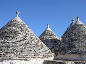 TD Trulli Albapetra Pool Olive Trees