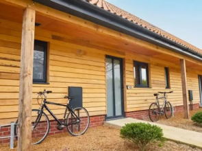 Host Stay Number One Piglets