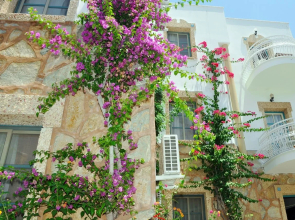 Siesta Beach & Apart Hotel