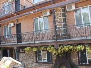 Hotel Gremi