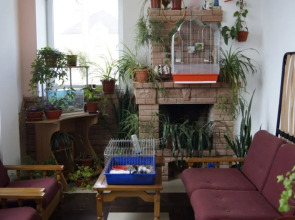 Максимова Дача