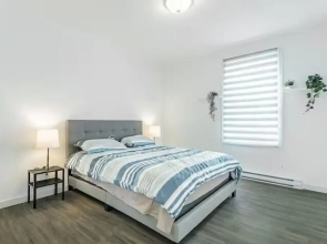 Plaza apartments