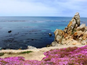 Pacific Grove Plaza