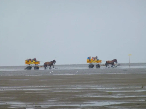 Haus Dünenglück Whg. 22, Seesicht