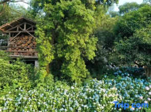 Nanlu Forest Resort Hotel (Chongqing Nanshan Scenic Area Branch)