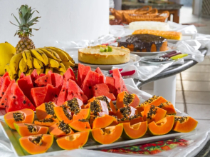 Garca Branca Praia Hotel