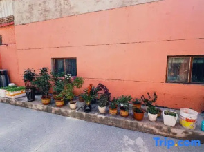 Lanyaju Homestay (Liuxing Street Store)