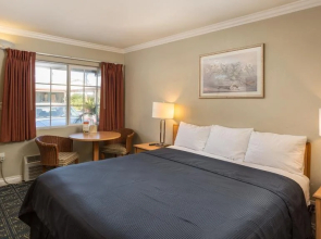 Harbor Motel