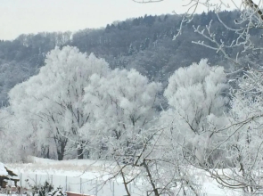 Idylle I an der Donau