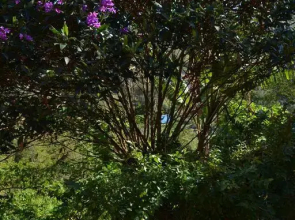 Surya Namaskar Guest House