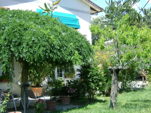 B&B La Mimosa