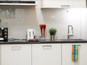 Amazing Apartment Old Town Smilsu Street