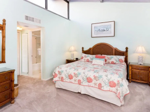 Loggerhead 443