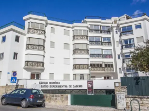 Jumbo Apartment