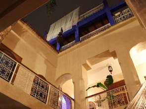 Riad Alamine