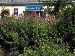 Chypons Farm B&B