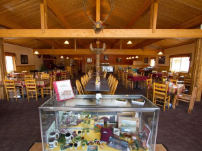 Denali River Cabins & Cedars Lodge