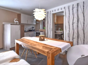 Apartment With Private Terrace