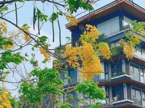 22Housing Moon Westlake Apartment