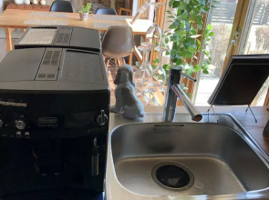 Sapporo Hiraoka Dog Hotel